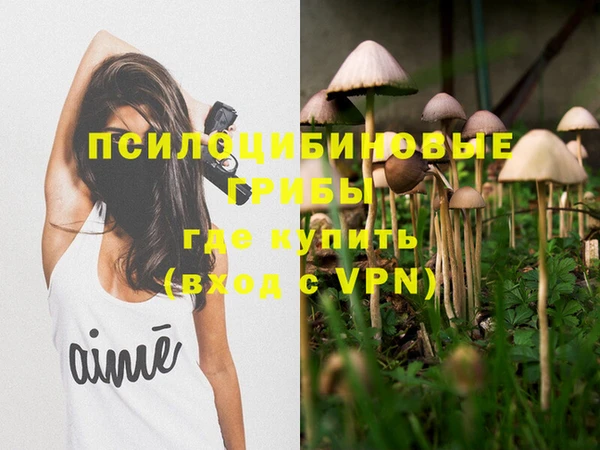 соль ск Абдулино