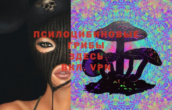 прущий лед Алексеевка