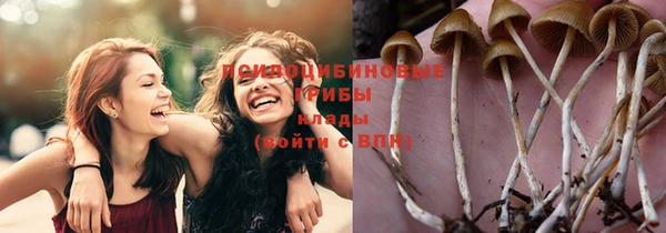 соль курить ск Абинск