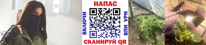 Канабис Bruce Banner  купить   blacksprut онион  Болохово 